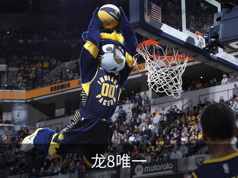 龙8唯一简介